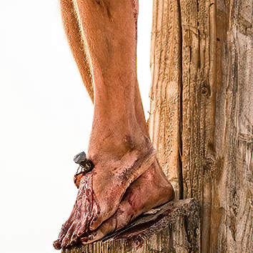 Feet on Cross SAI stabilize2